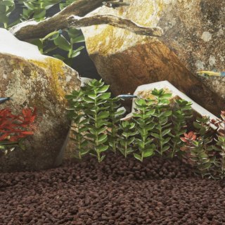  Skała wulkaniczna, 10 kg, czerwona, 1-2 cm