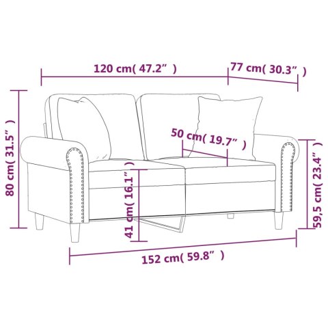  2-osobowa sofa z poduszkami, jasnoszara, 120 cm, aksamit